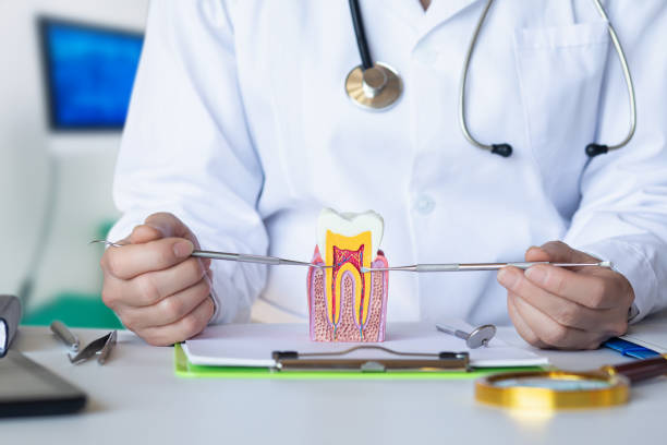 Trusted VA Emergency Dental Service Experts
